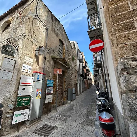 November House Daire